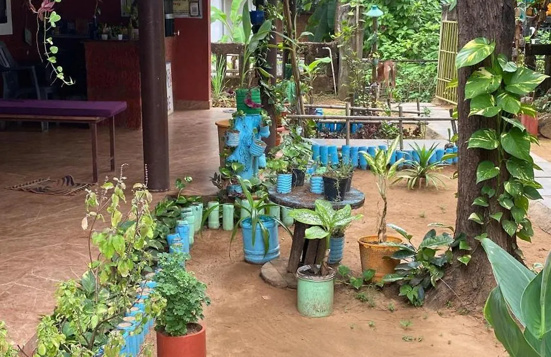 Tusker Tribe Hostel-1